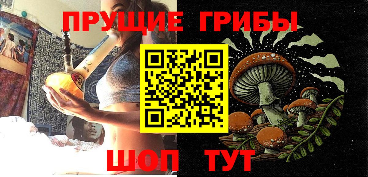 Псилоцибиновые грибы мицелий Кашира