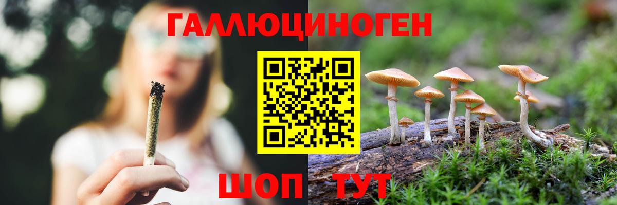 Кашира  Галлюциногенные грибы Cubensis  Вход с VPN  хочу наркоту  Псилоцибиновые грибы Psilocybine cubensis 